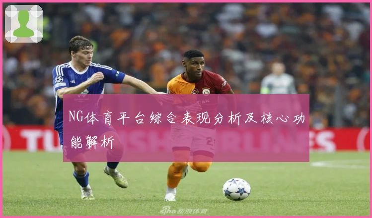 NG体育平台综合表现分析及核心功能解析